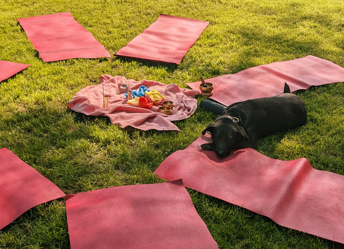 Familien_Yoga_mit_Hund schwarzer Hund liegt auf roten Yogamatten für das Familien-Yoga. Matten liegen im Gras und die Sonne scheint.